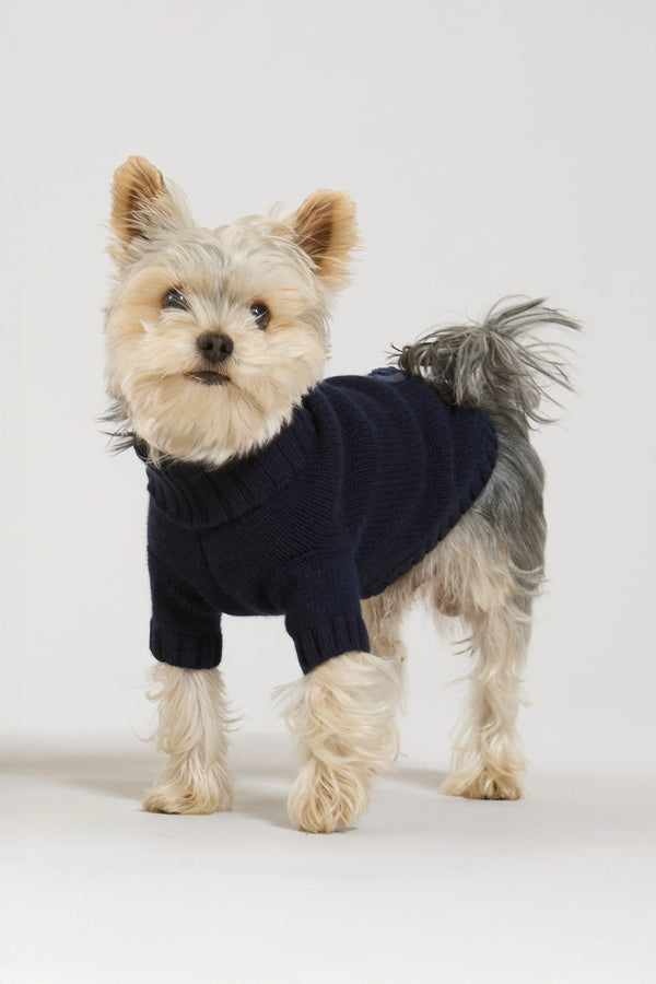 Maglia doggy in lana e cachemire blu women Twinies