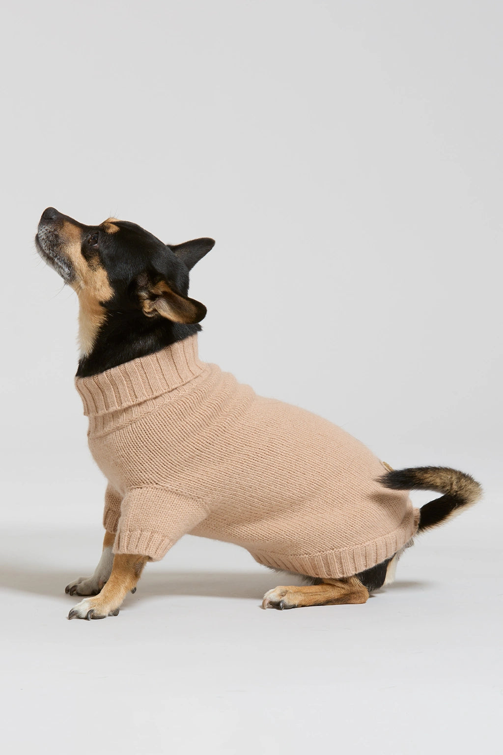 Maglia in lana e cachemire cammello women Twinies - 3