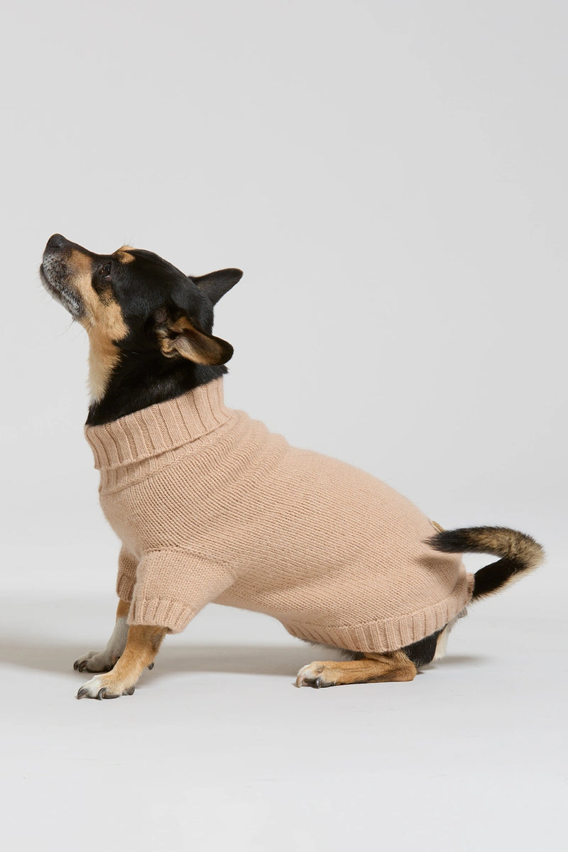 Maglia in lana e cachemire cammello women Twinies - 3