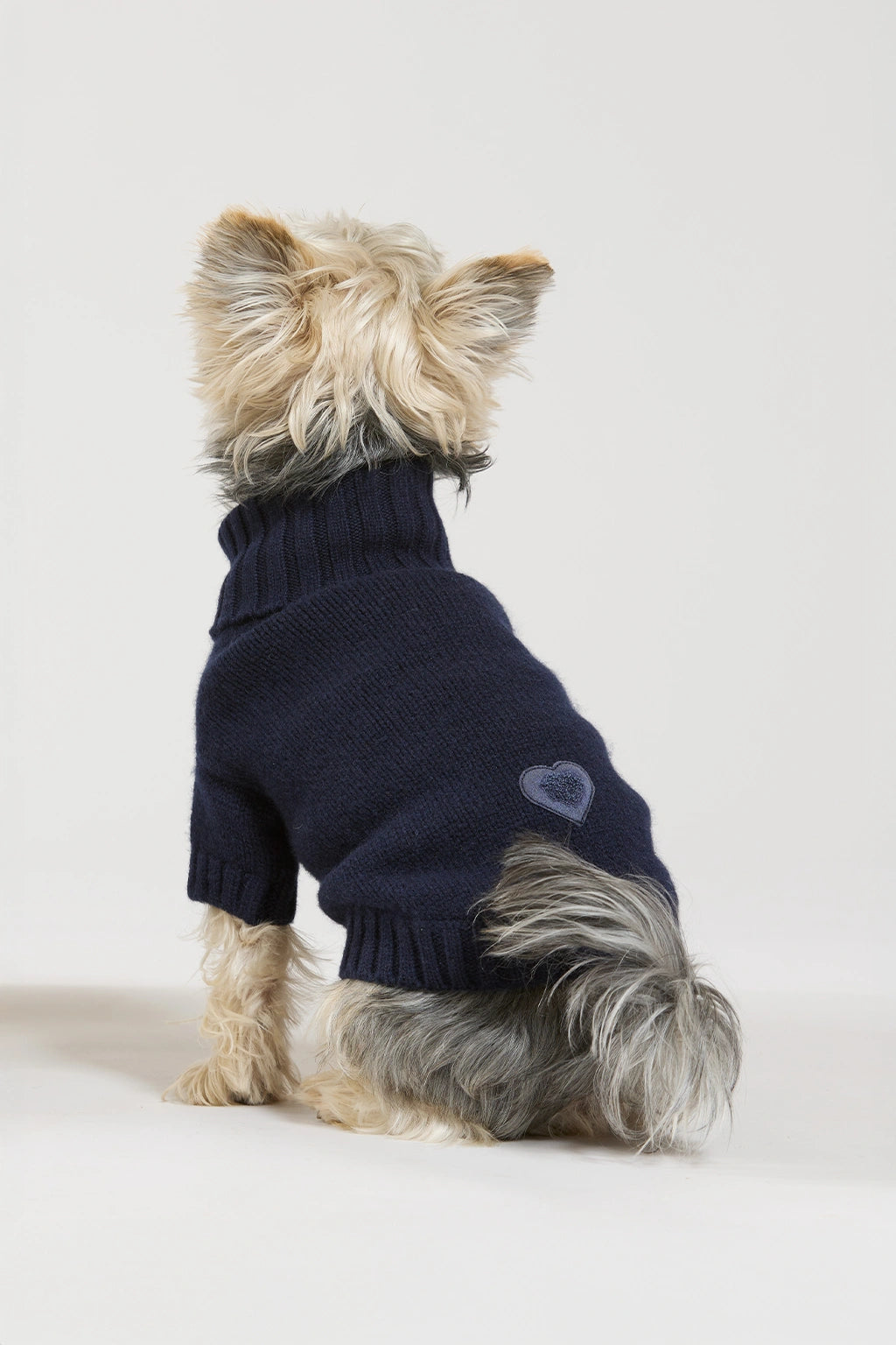 Maglia doggy in lana e cachemire blu women Twinies - 5