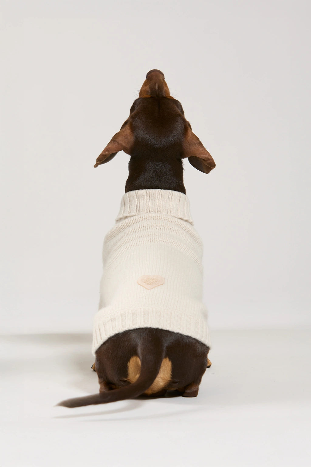 Maglia in lana e cachemire panna women Twinies - 4