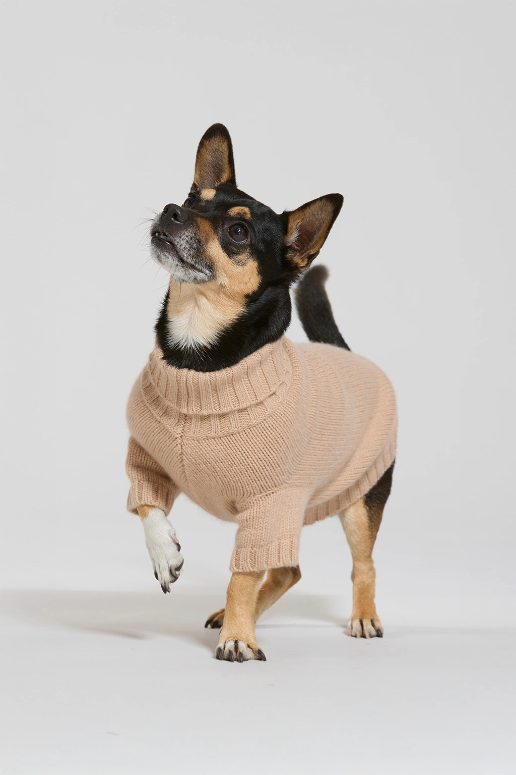 Maglia in lana e cachemire cammello women Twinies - 1