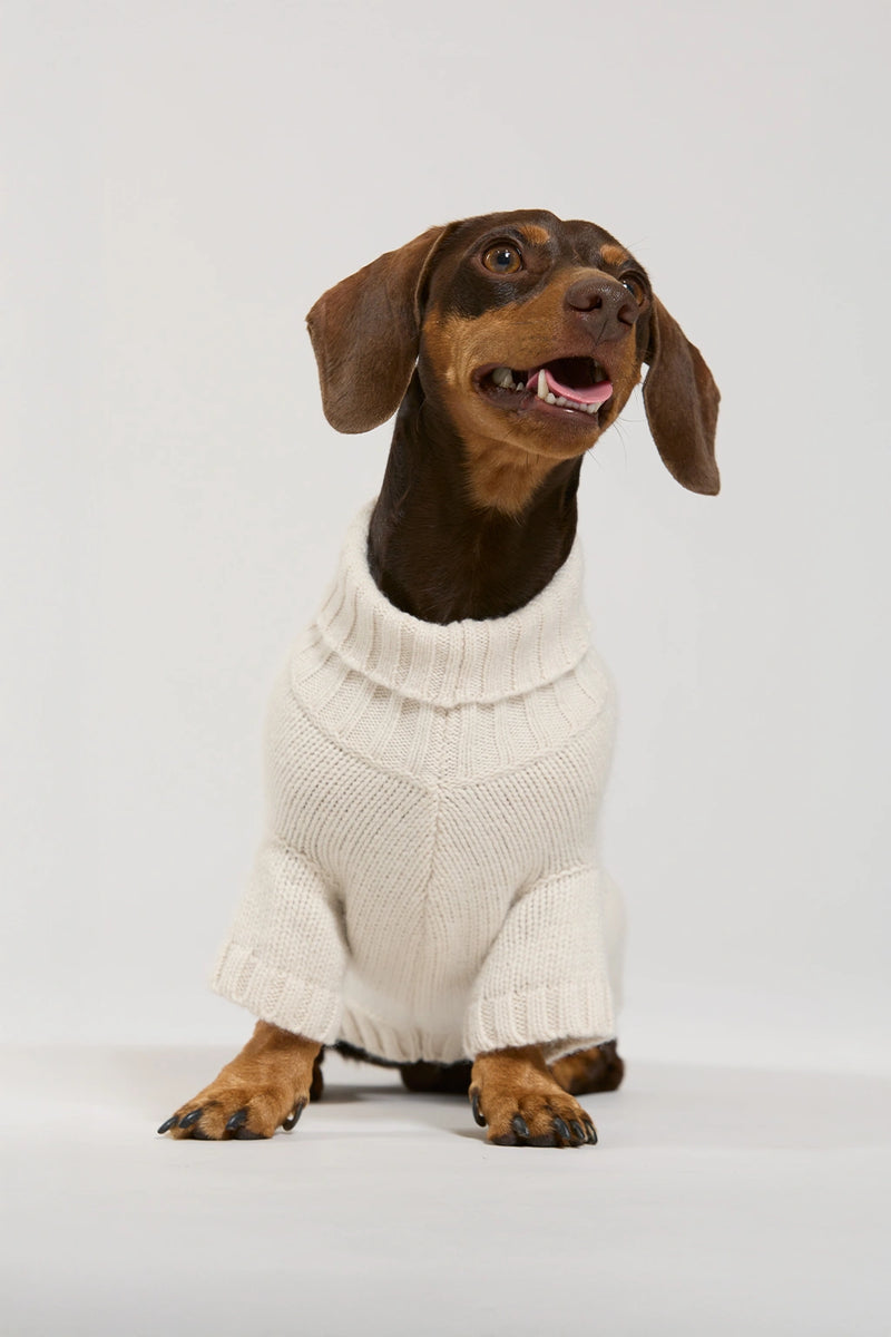 Maglia in lana e cachemire panna women Twinies - 1