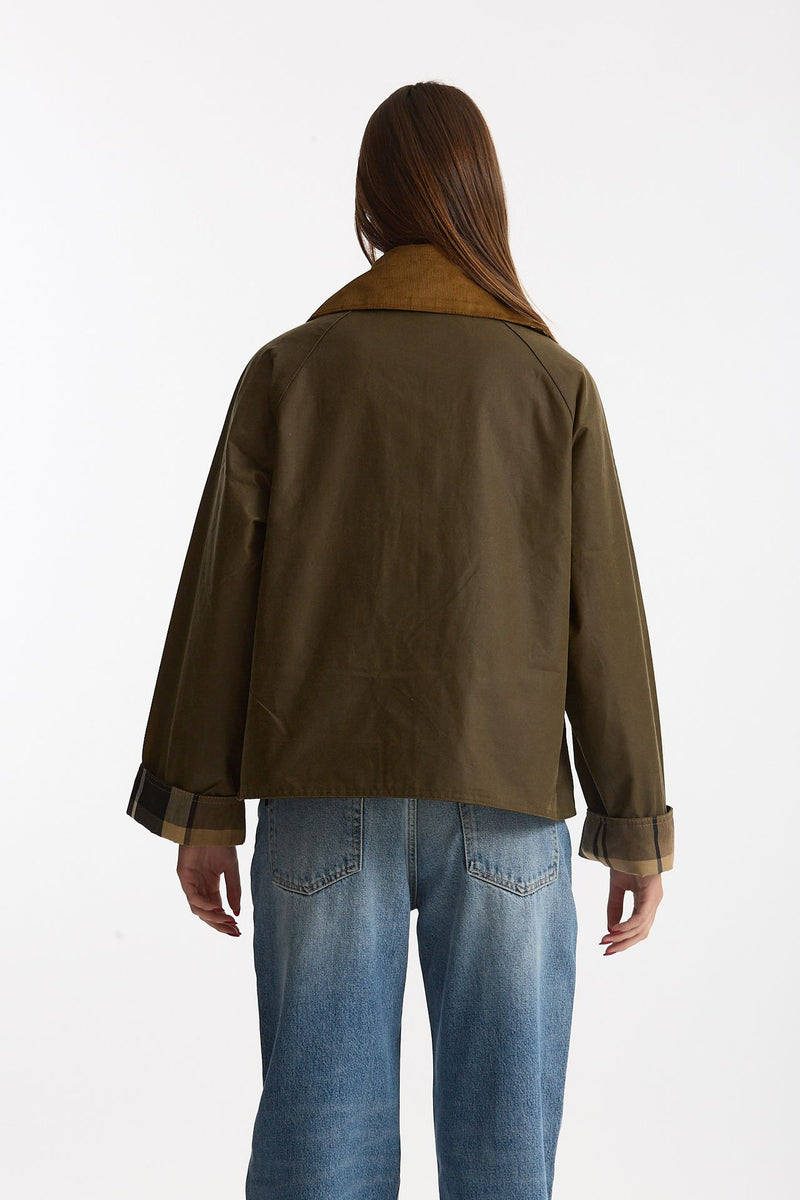 Giubbino ICON SPEY verde BEECH women Barbour - 2