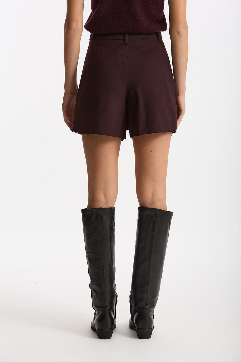Short pannello Vita alta burgundi women Iro - 4
