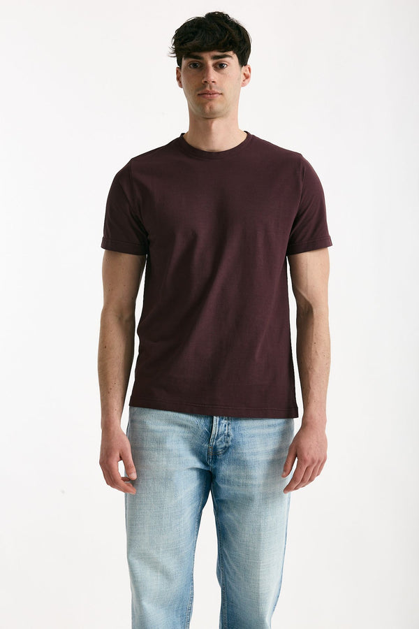 T-shirt in cotone melanzana men ( p - s )