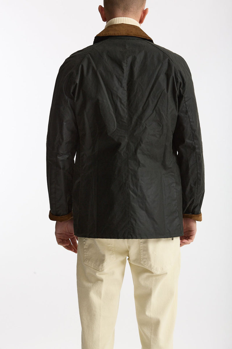 Giacca FESTIVE ASHBY WAX JACKET in cotone cerato men Barbour - 3