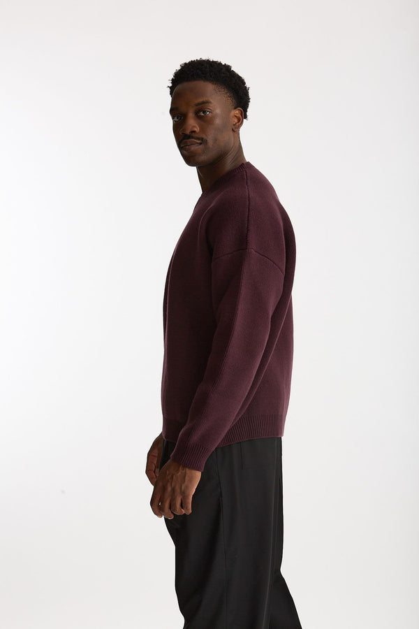 Maglia in lana bordeaux men Laneus