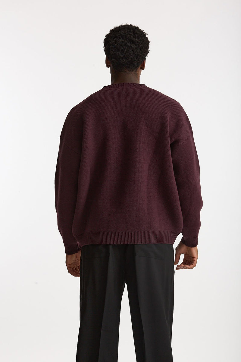 Maglia in lana bordeaux men Laneus - 3