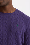 Maglia in lana e cashmere viola men Polo ralph lauren - 5