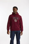 Felpa in cotone bordeaux men Polo ralph lauren - 2